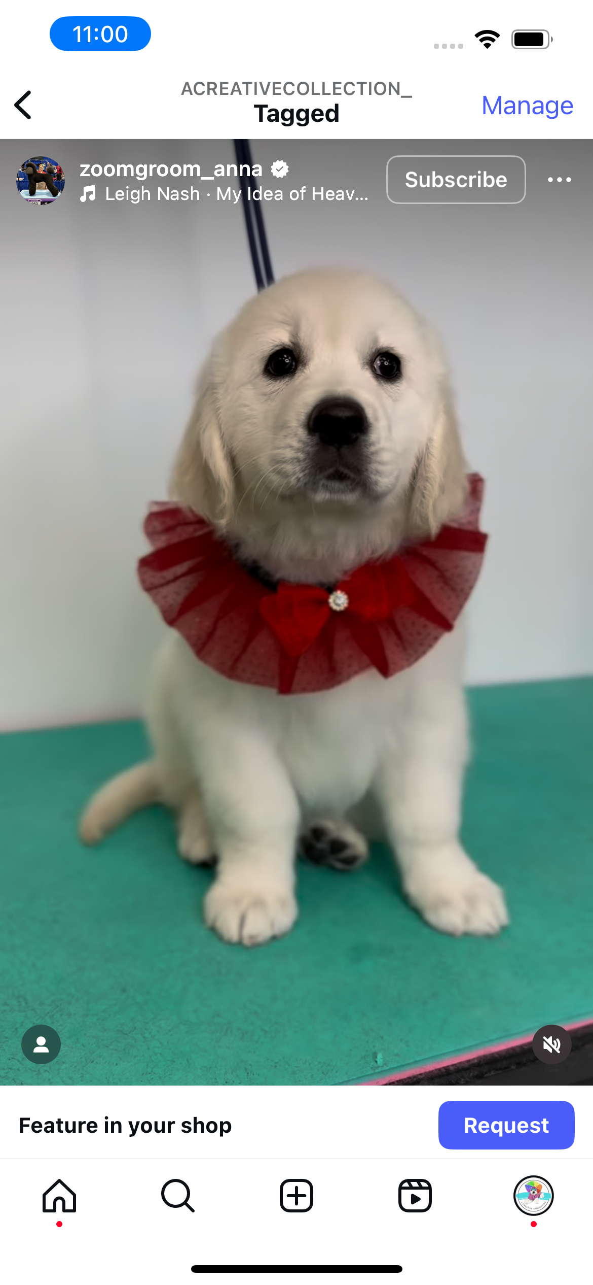 RED SPARKLE RUFFLE 4 PACK