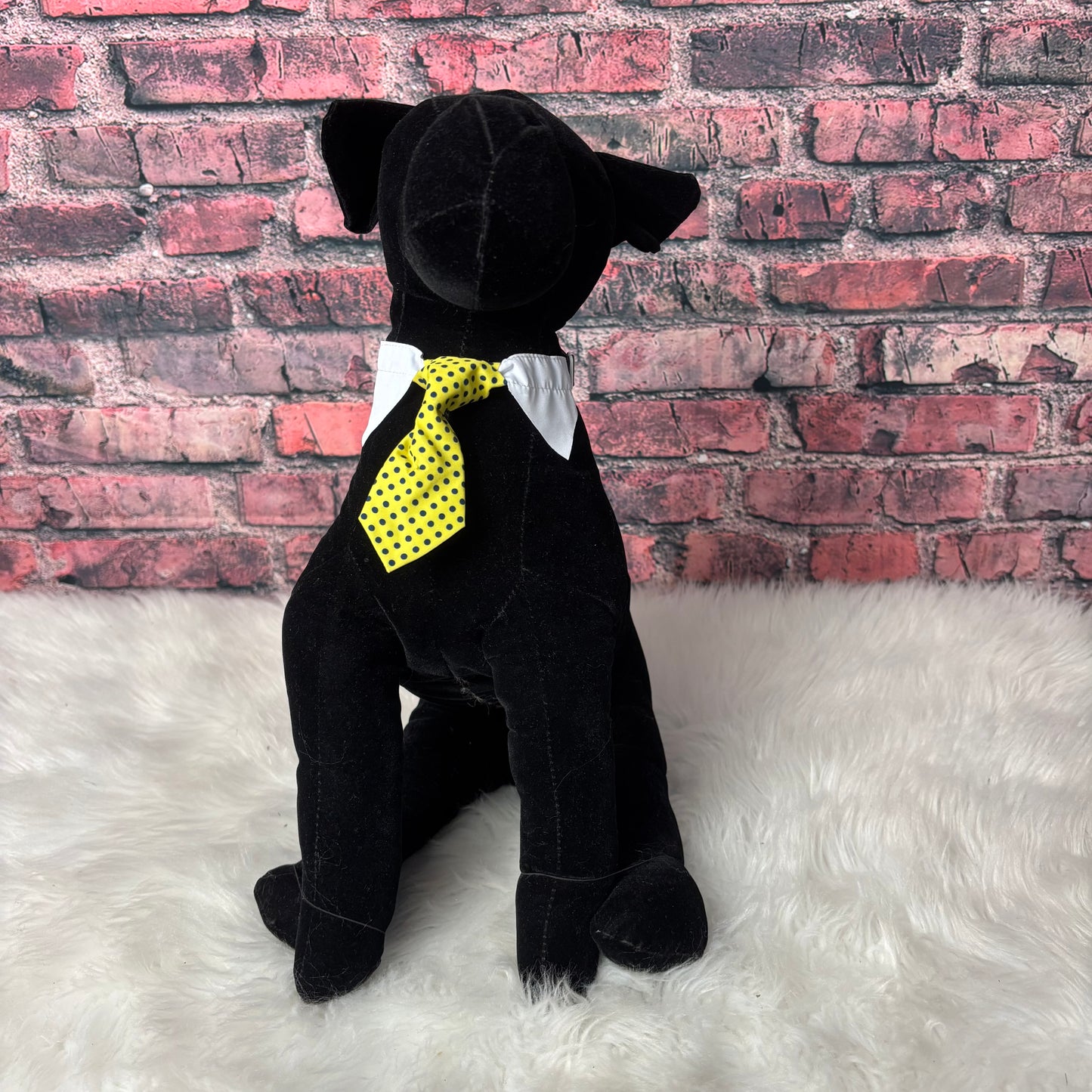 Yellow Polka Dot Shirt Collar & Tie - 6 Pack - Small