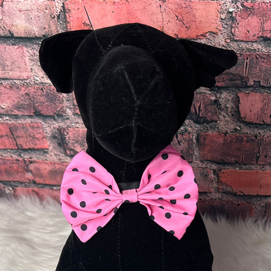 PINK W/ BLACK DOTS COLLAR BOWTIE 6 PACK