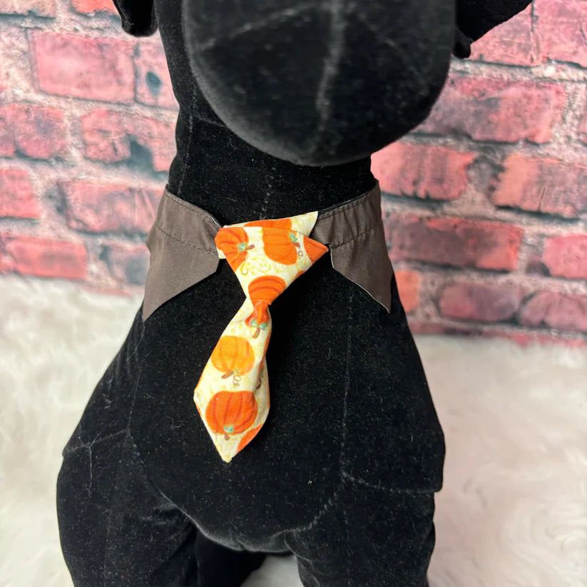 LIVE PUMPKIN SHIRT AND TIE SM