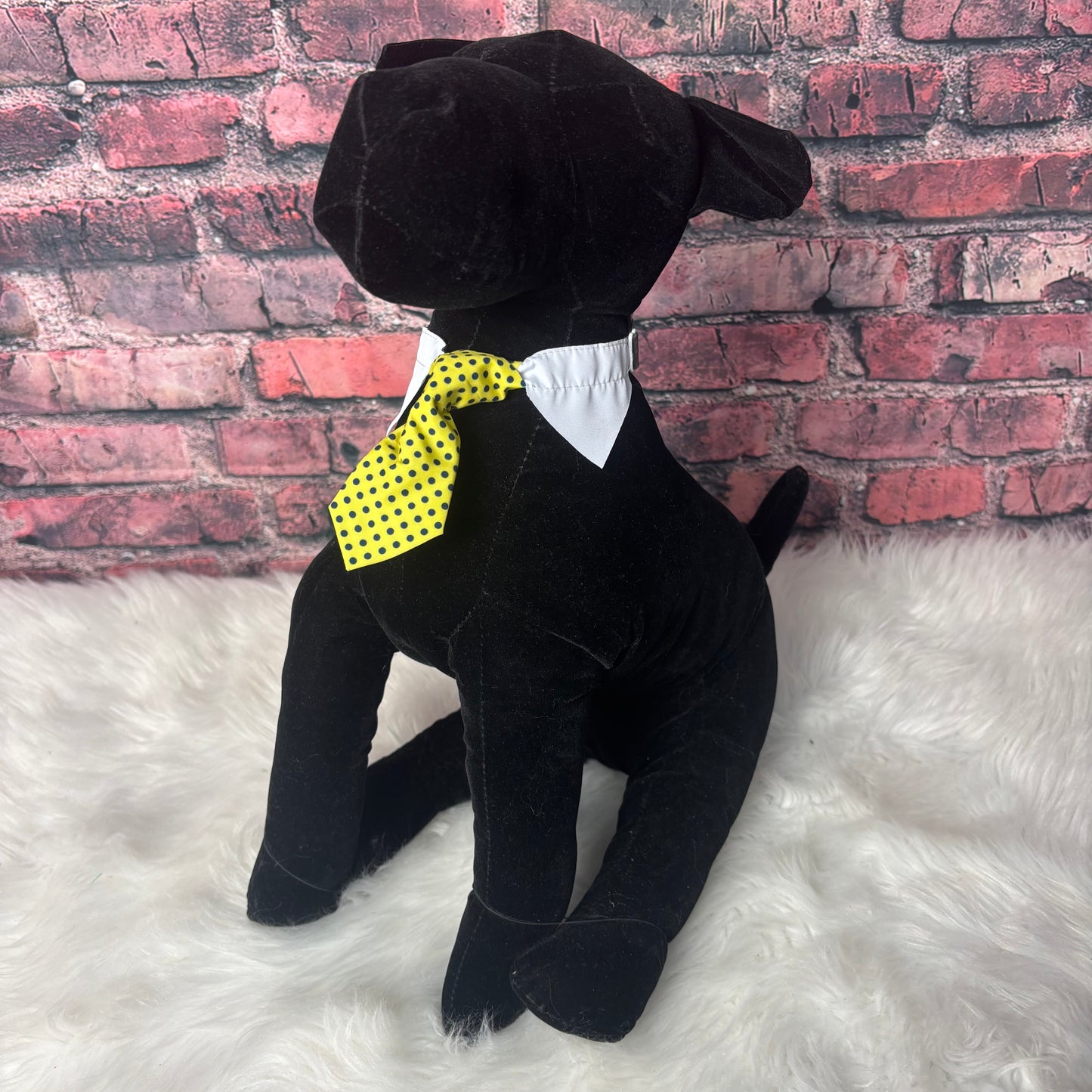 Yellow Polka Dot Shirt Collar & Tie - 6 Pack - Small