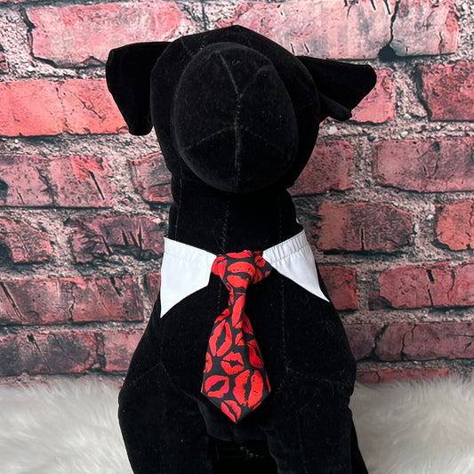 KISS THIS SHIRT COLLAR & TIE - 6 PACK