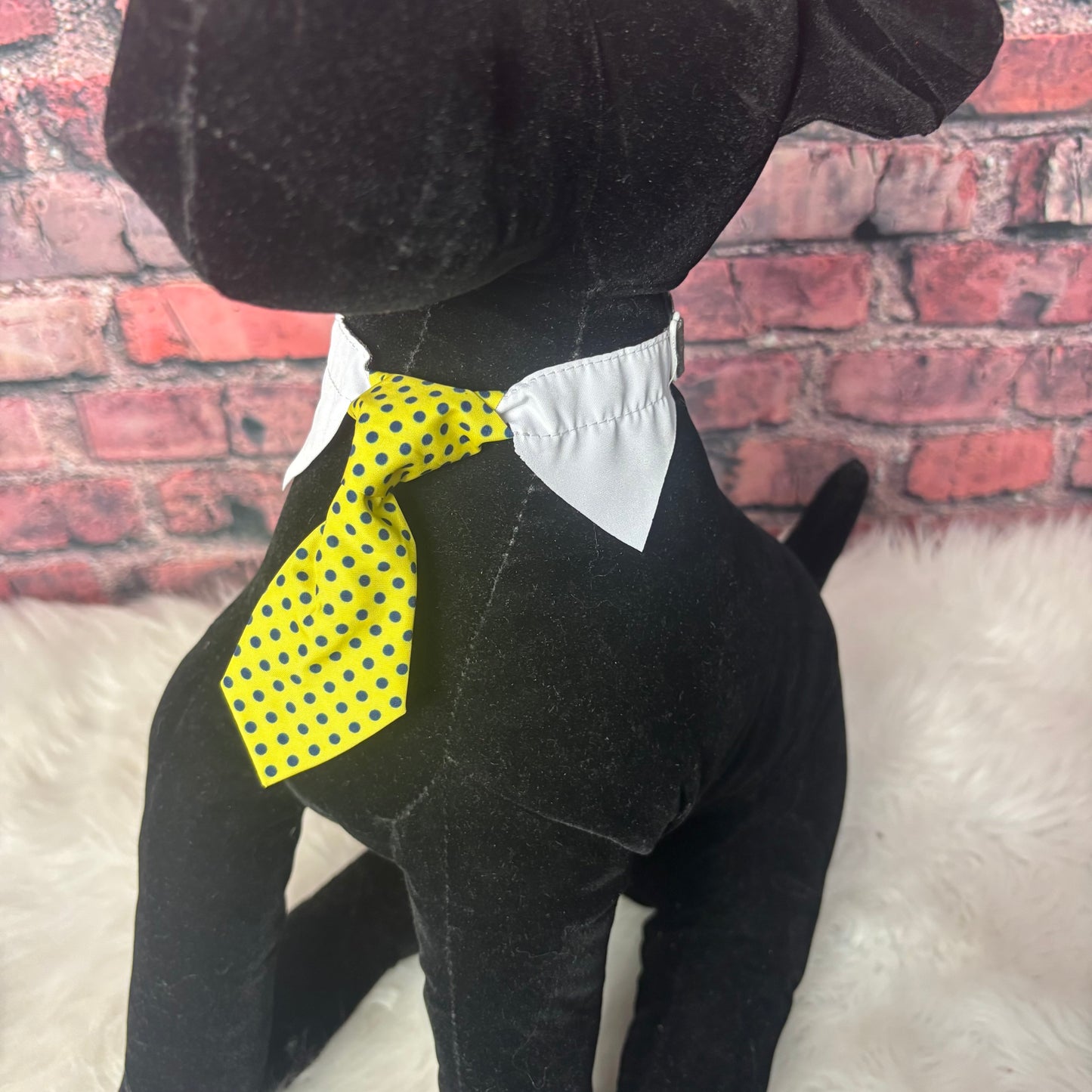 Yellow Polka Dot Shirt Collar & Tie - 6 Pack - Small
