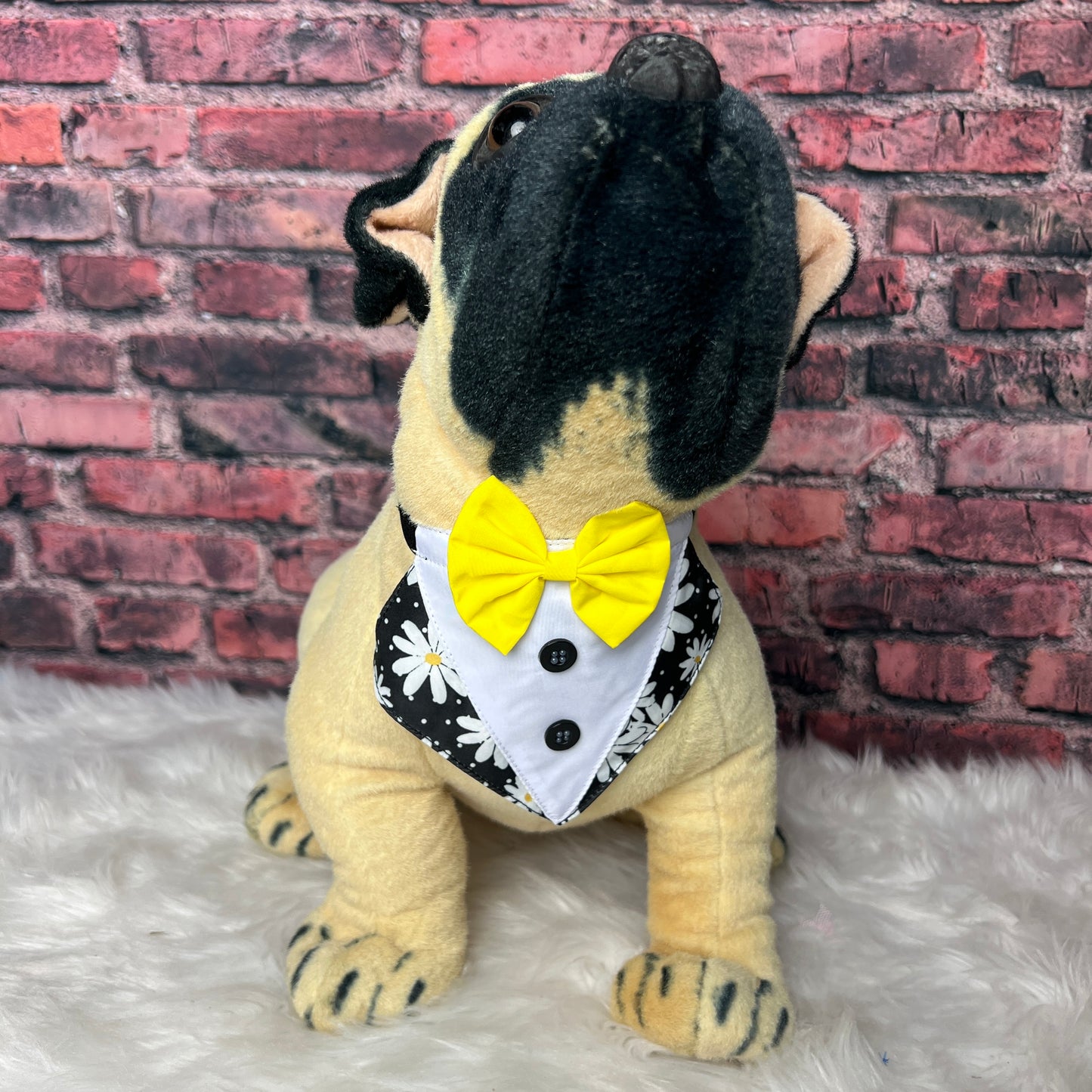 BLACK DAISY BIB - 4 PACK