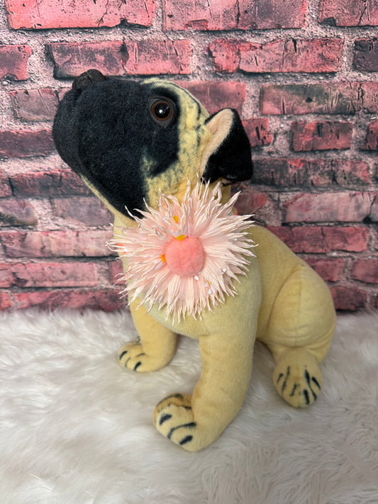 Giant Peach Daisy Neckband - 6 pk