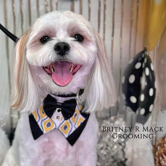 GOLD AND GREY BIG BOY BIB- 4 PACK