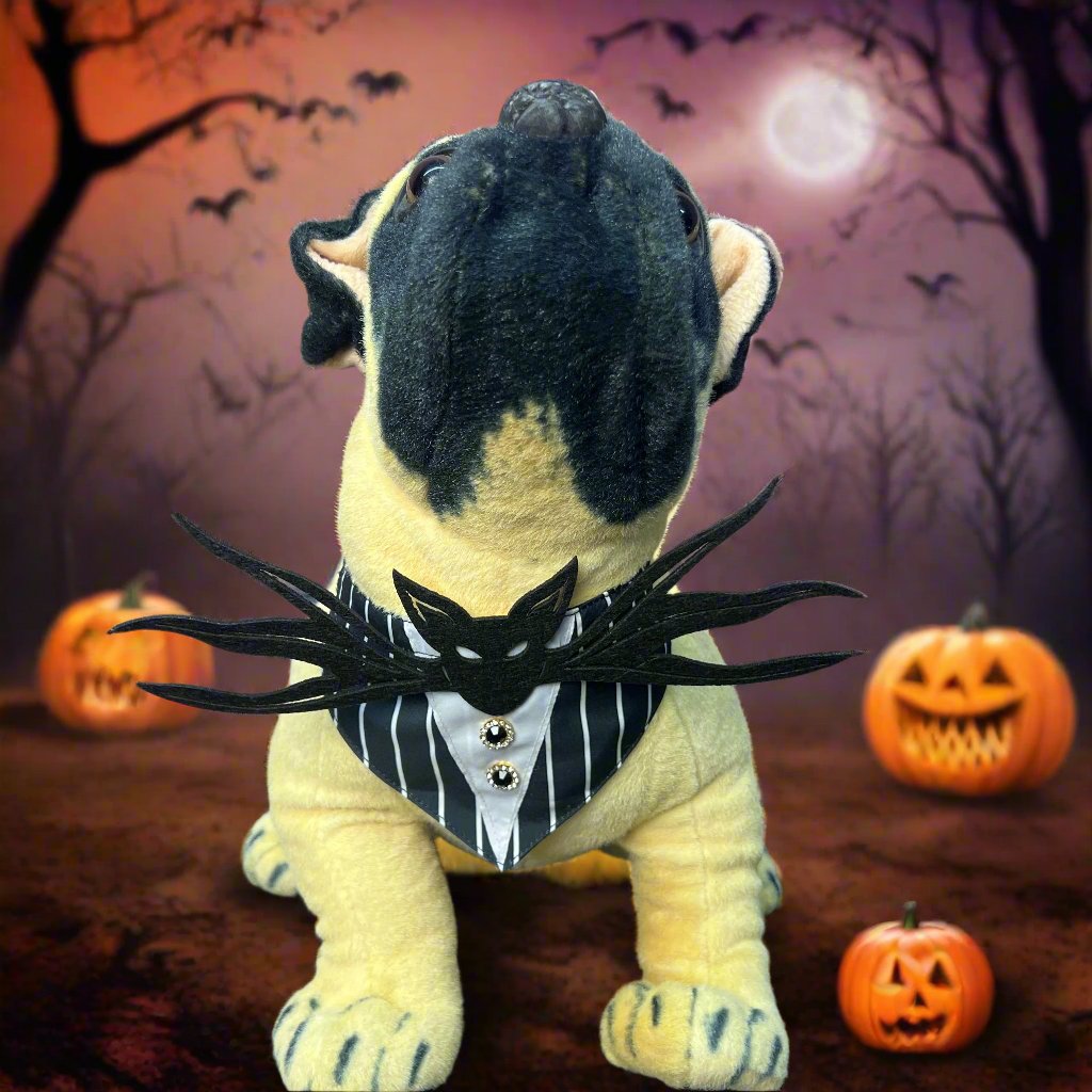 JACK PUPINGTON BIB 4 PACK