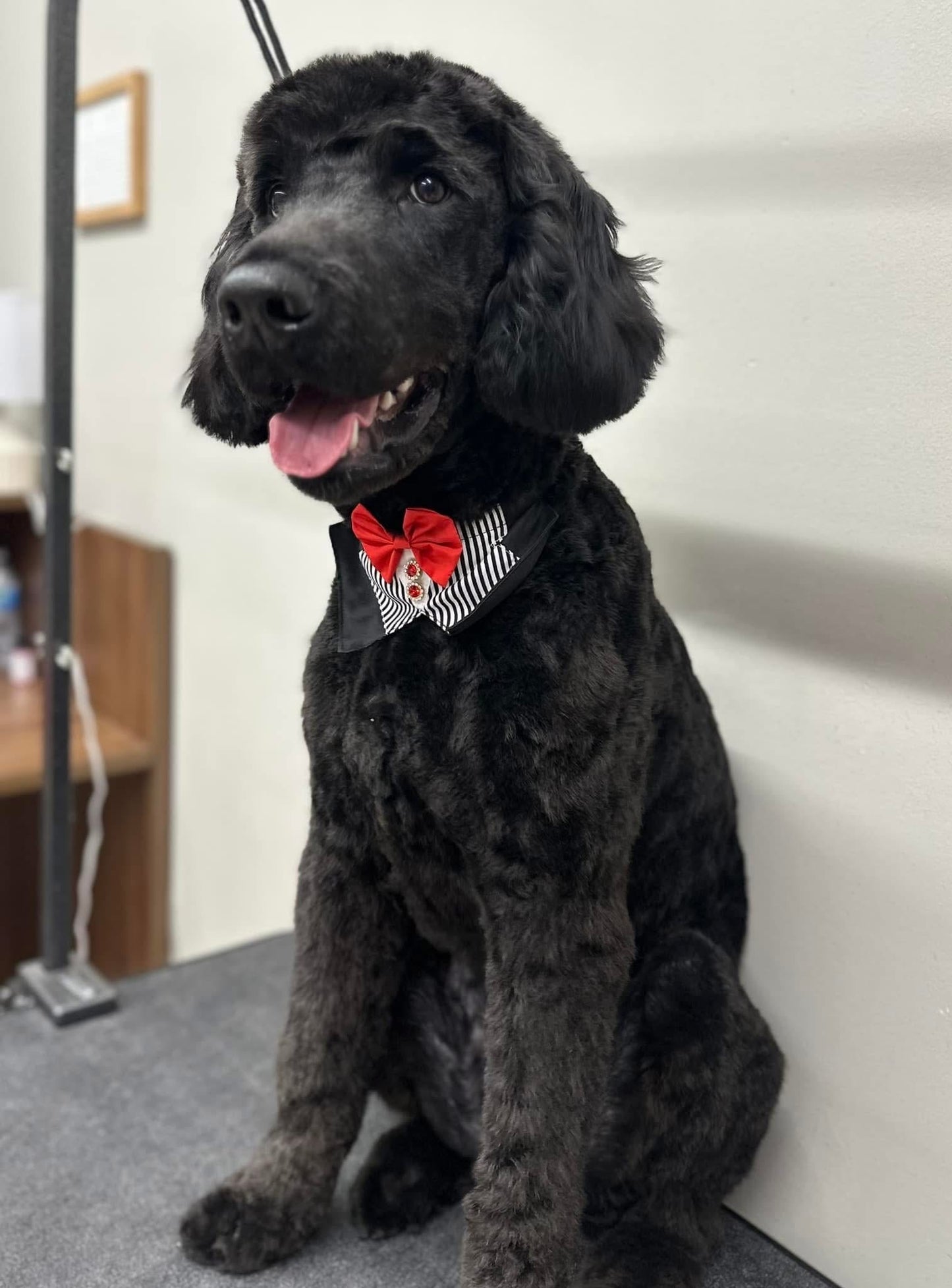 WHITE AND BLACK STRIPED BIG BOY BIB 4 pack