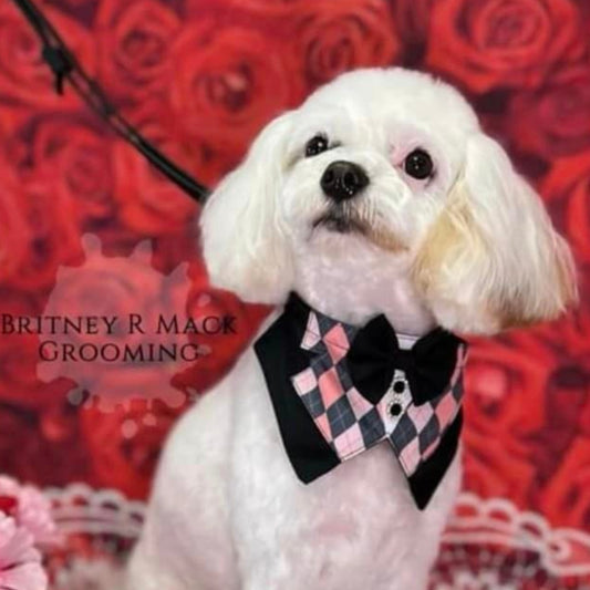 PINK AND GREY ARGYLE BIG BOY BIB 4 pack