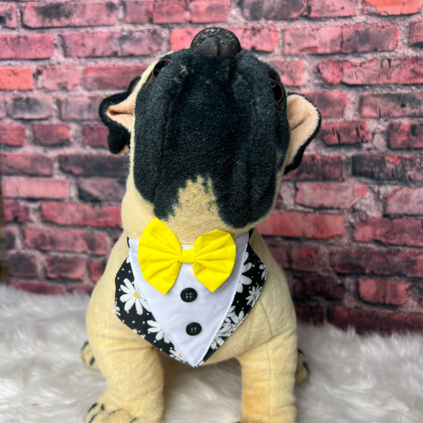 BLACK DAISY BIB - 4 PACK