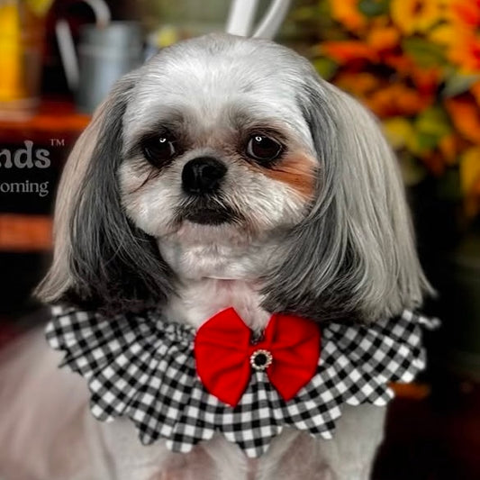 BLACK & WHITE CHECK FULL RUFFLE - 4 PACK