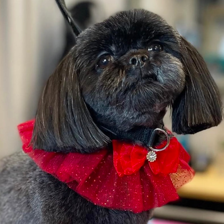 RED SPARKLE RUFFLE 4 PACK
