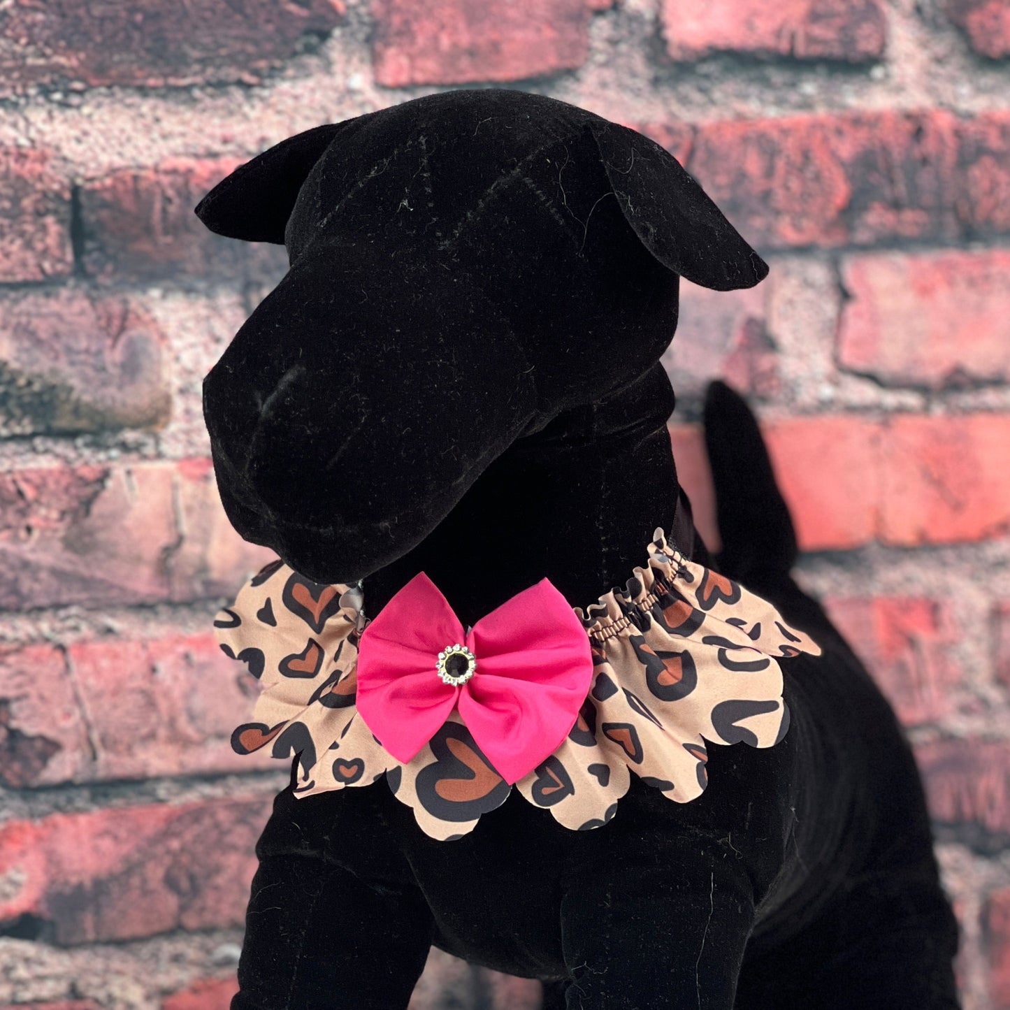 Wild hearts ruffle 5 pack (2 sizes)