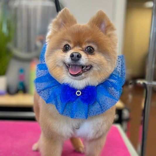 BLUE SPARKLE TIE ON RUFFLE - 4 PACK