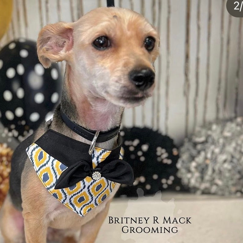 GOLD AND GREY BIG GIRL BIB- 4 PACK