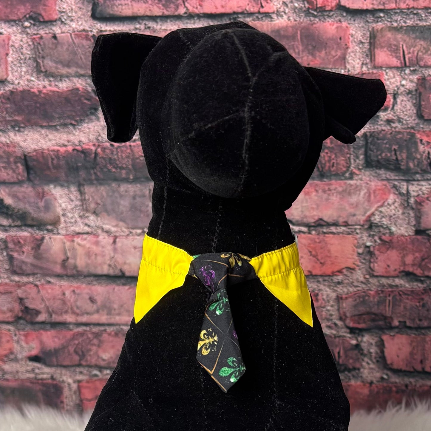 Mardi Gras Shirt & Tie S/M - 6 Pack