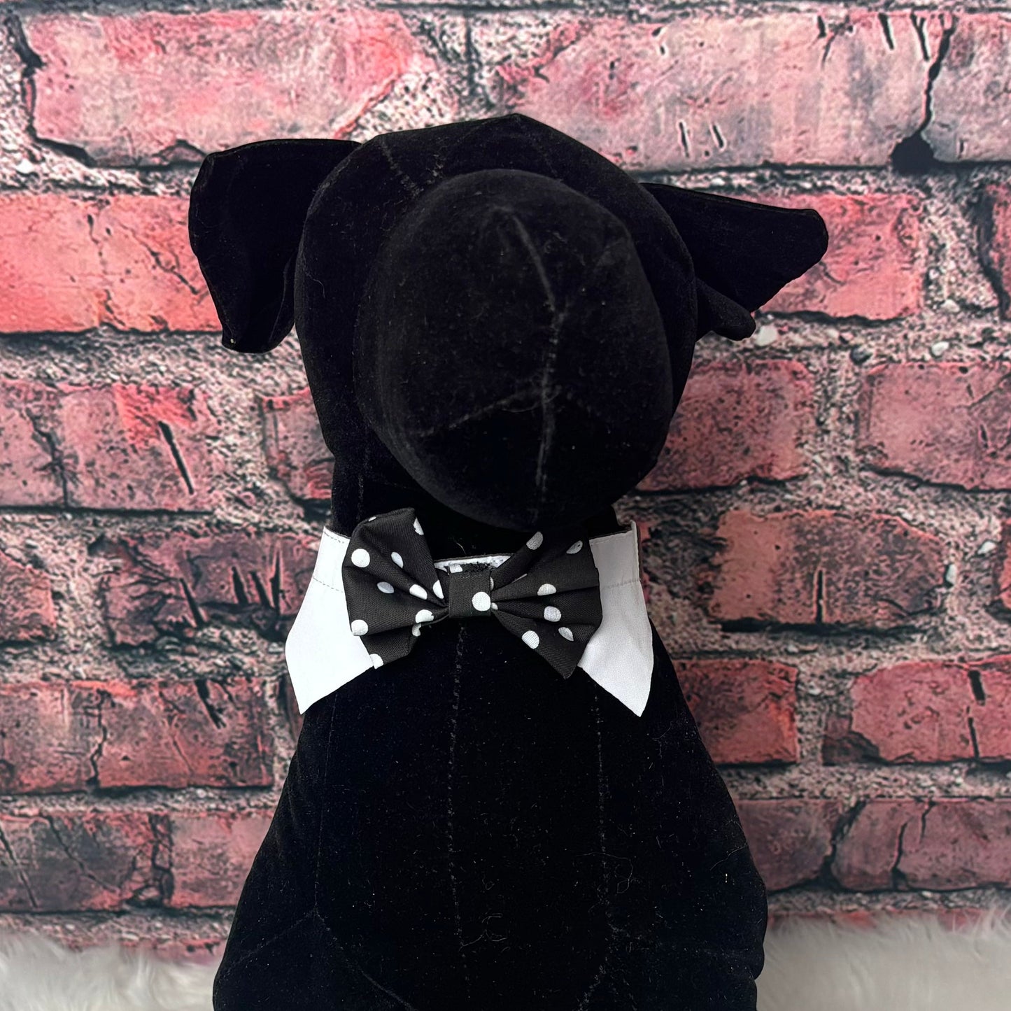 BLACK AND WHITE POLKADOT SHIRT COLLAR & BOWTIE- 5 PACK-S/M