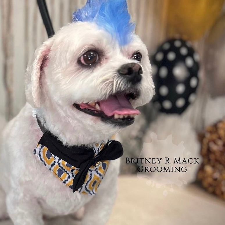 GOLD AND GREY BIG GIRL BIB- 4 PACK