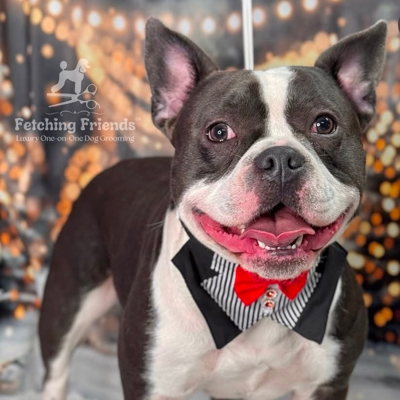 WHITE AND BLACK STRIPED BIG BOY BIB 4 pack