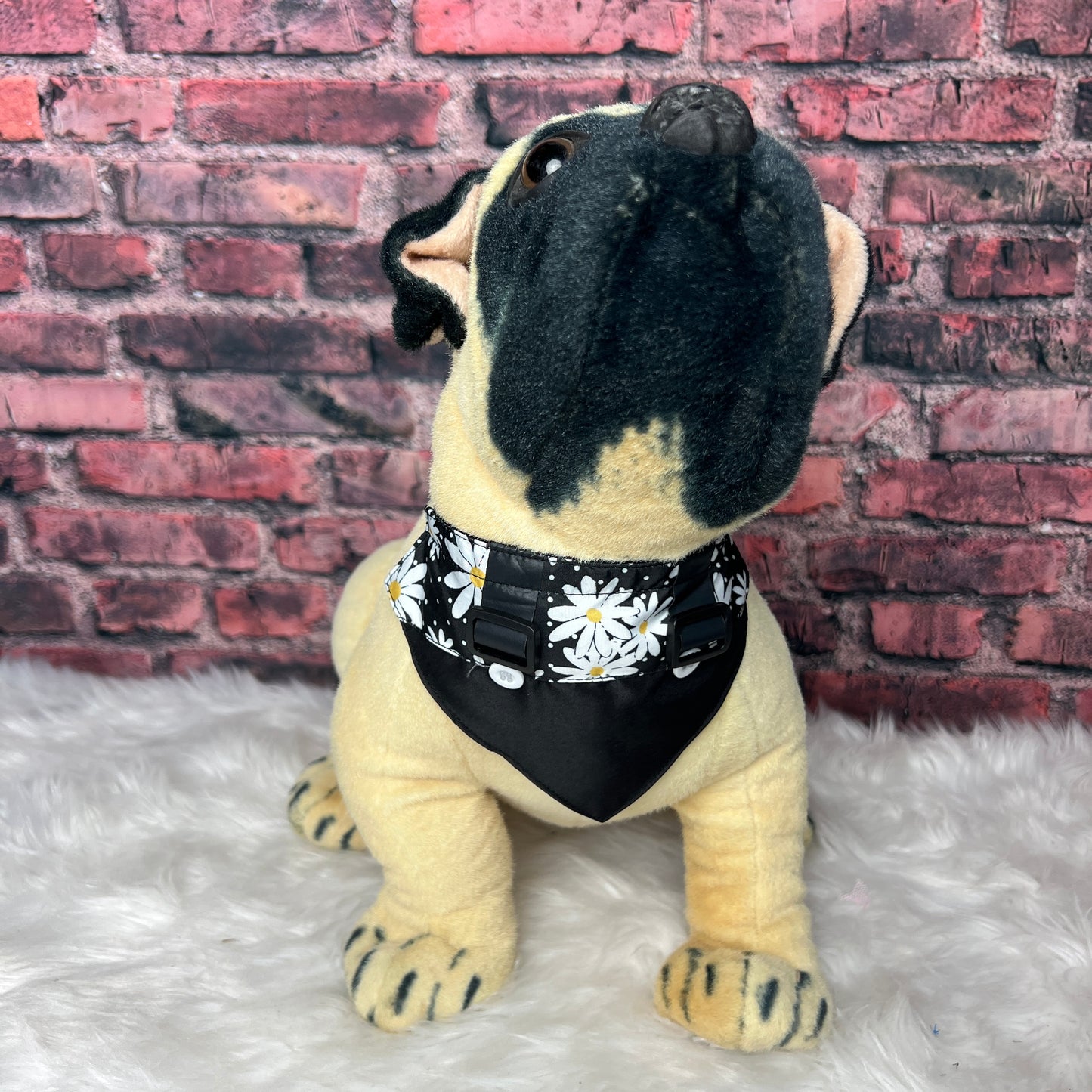 BLACK DAISY OVERALL  BIB - 4 PACK