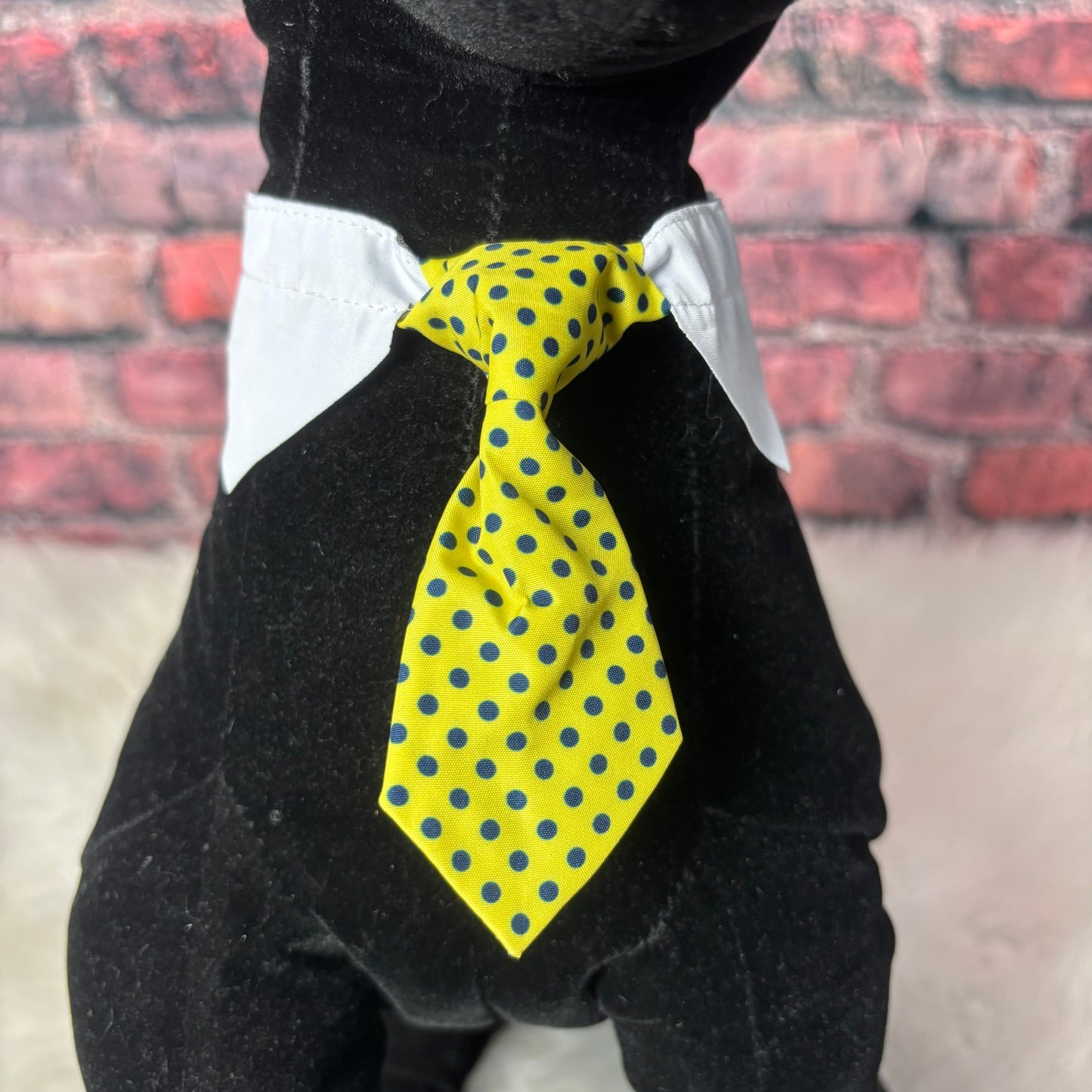Yellow Polka Dot Shirt Collar & Tie - 6 Pack - Small