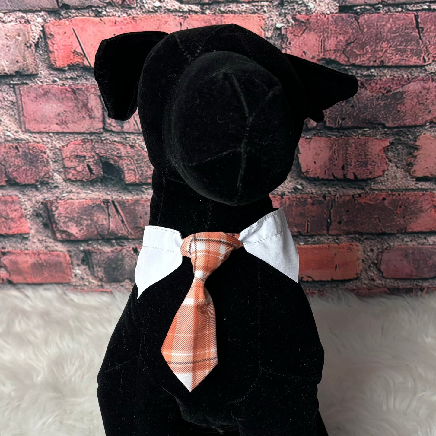 ORANGE PLAID SHIRT COLLAR & TIE S/M- 6 PACK