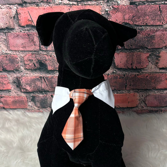 LIVE * ORANGE PLAID SHIRT COLLAR & TIE S/M- 6 PACK