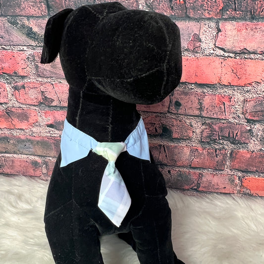 Easter Plaid Shirt Collar & Tie - 6 Pack - S/M