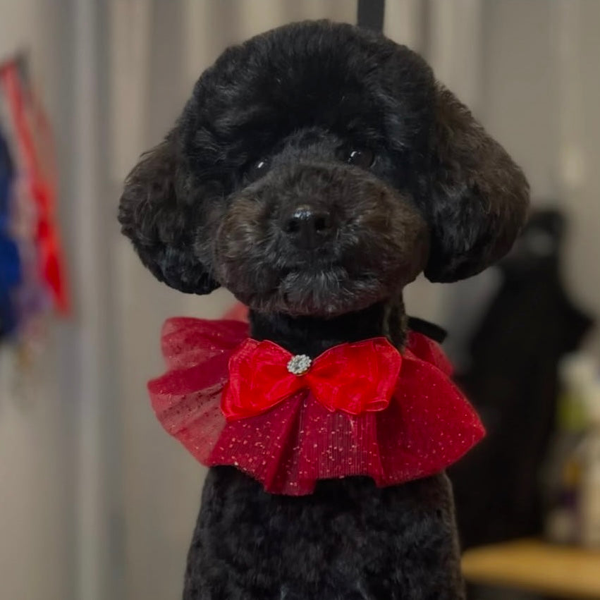 RED SPARKLE RUFFLE 4 PACK