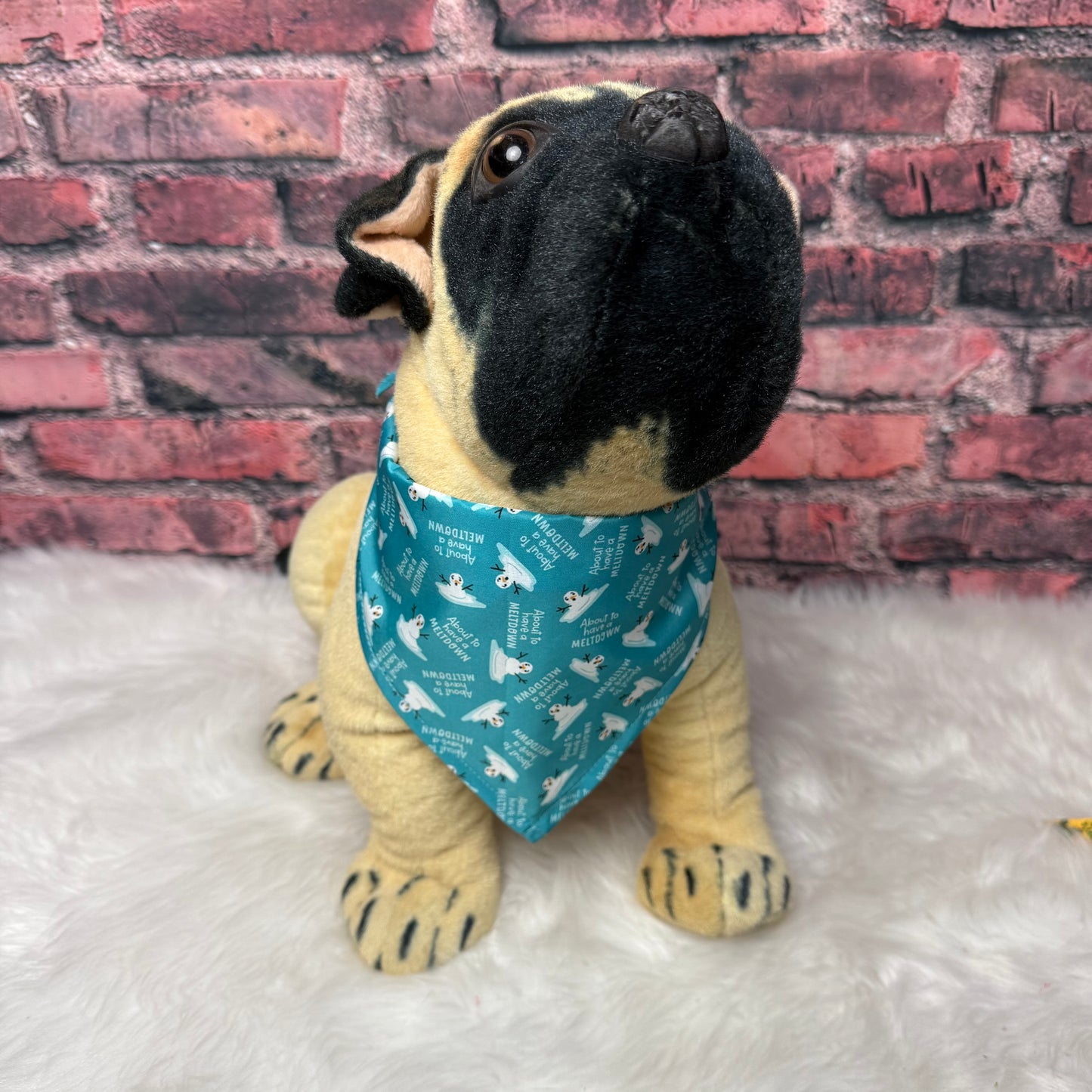 LIVE BOUT TO HAVE A MELTDOWN BAMDANA