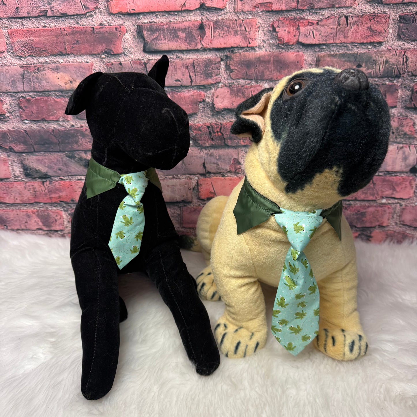 LIVE FROGGY SHIRT COLLAR W/TIE LARGE 4 pack