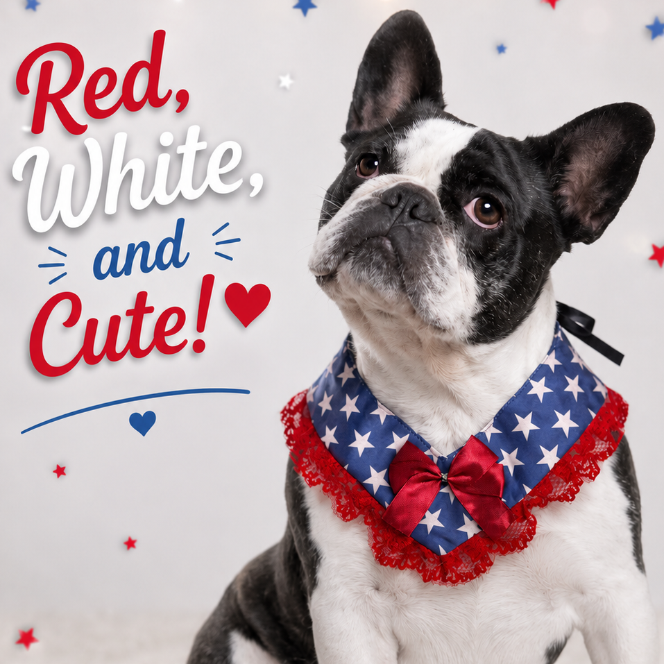 new patriotic v neck 4-pack