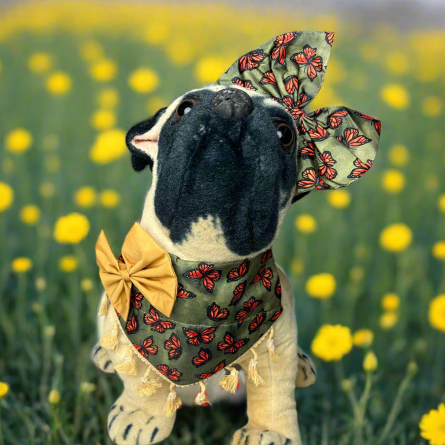 BUTTERFLY OVERSIZED BOW 6 PACK