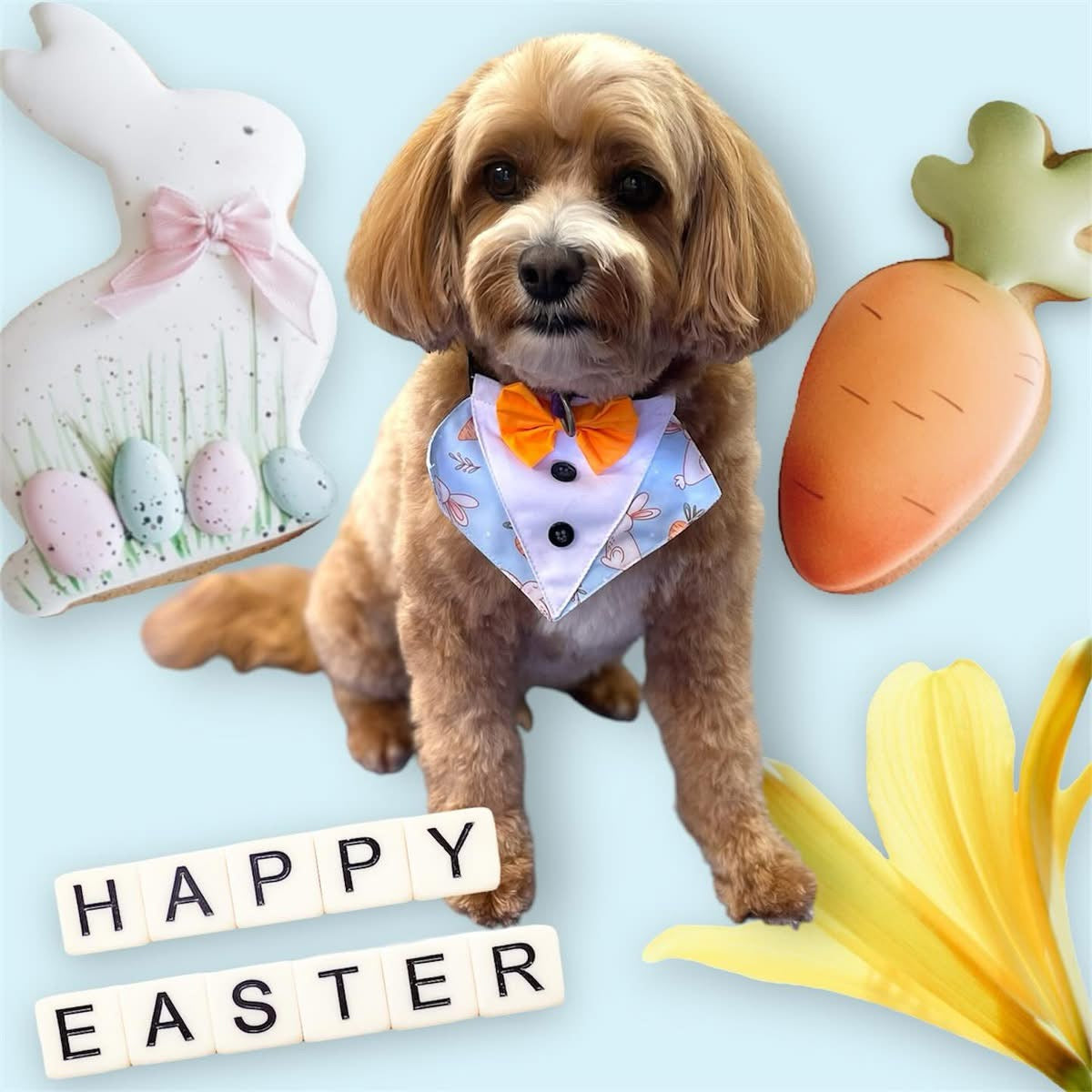 EASTER BUNNY BIB-4 PACK