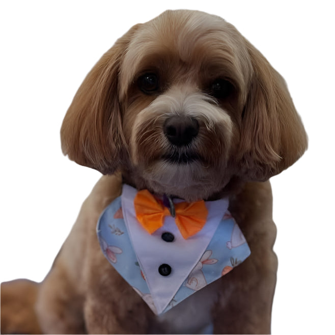 EASTER BUNNY BIB-4 PACK