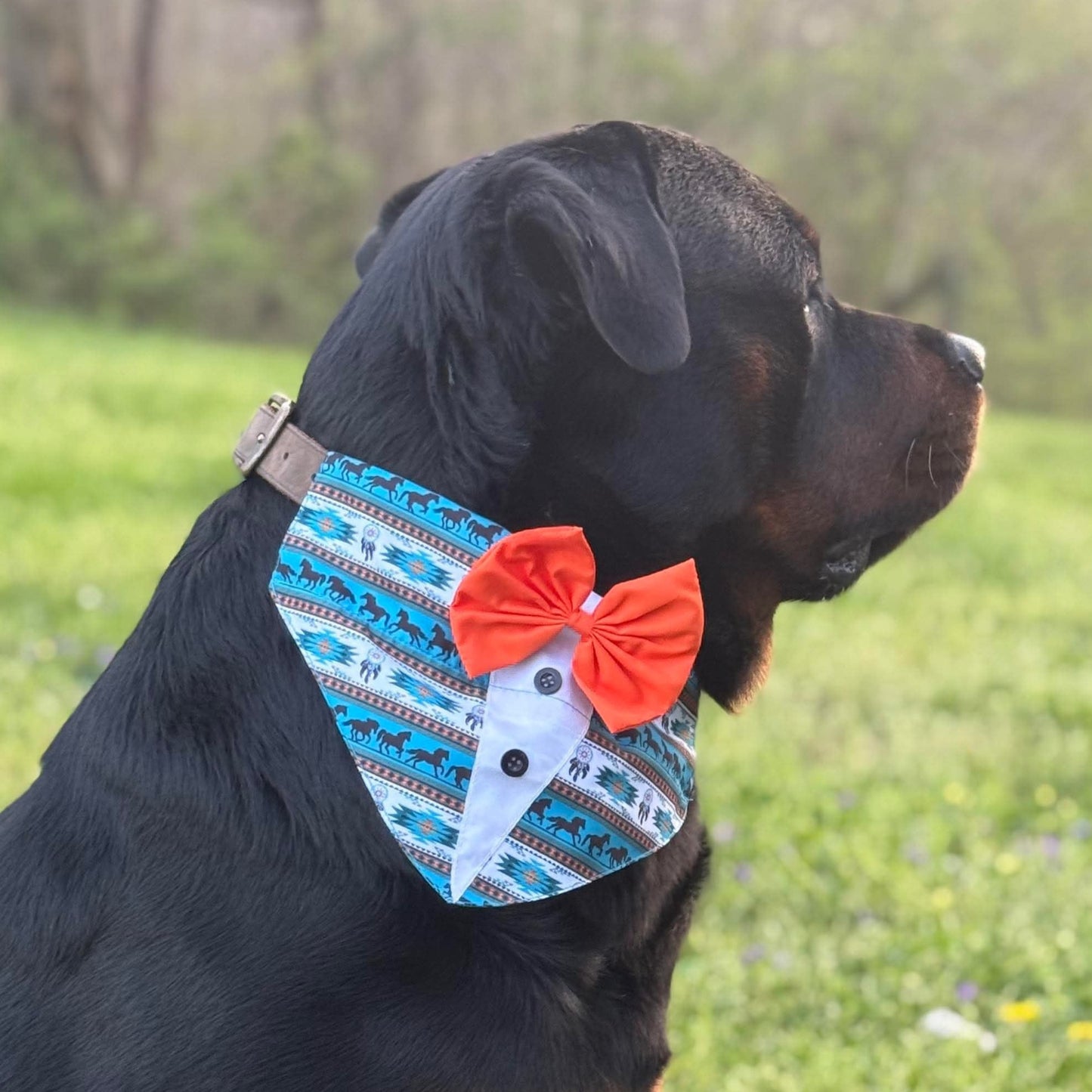 SOUTHWEST SHIRT OTC BANDANA - 4 PACK