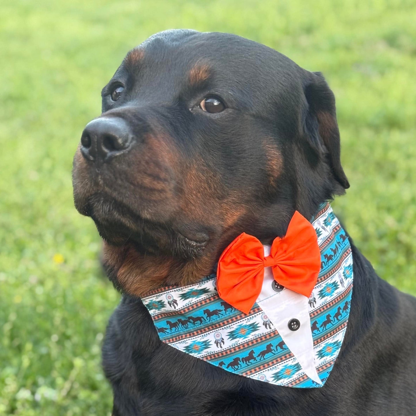 SOUTHWEST SHIRT OTC BANDANA - 4 PACK