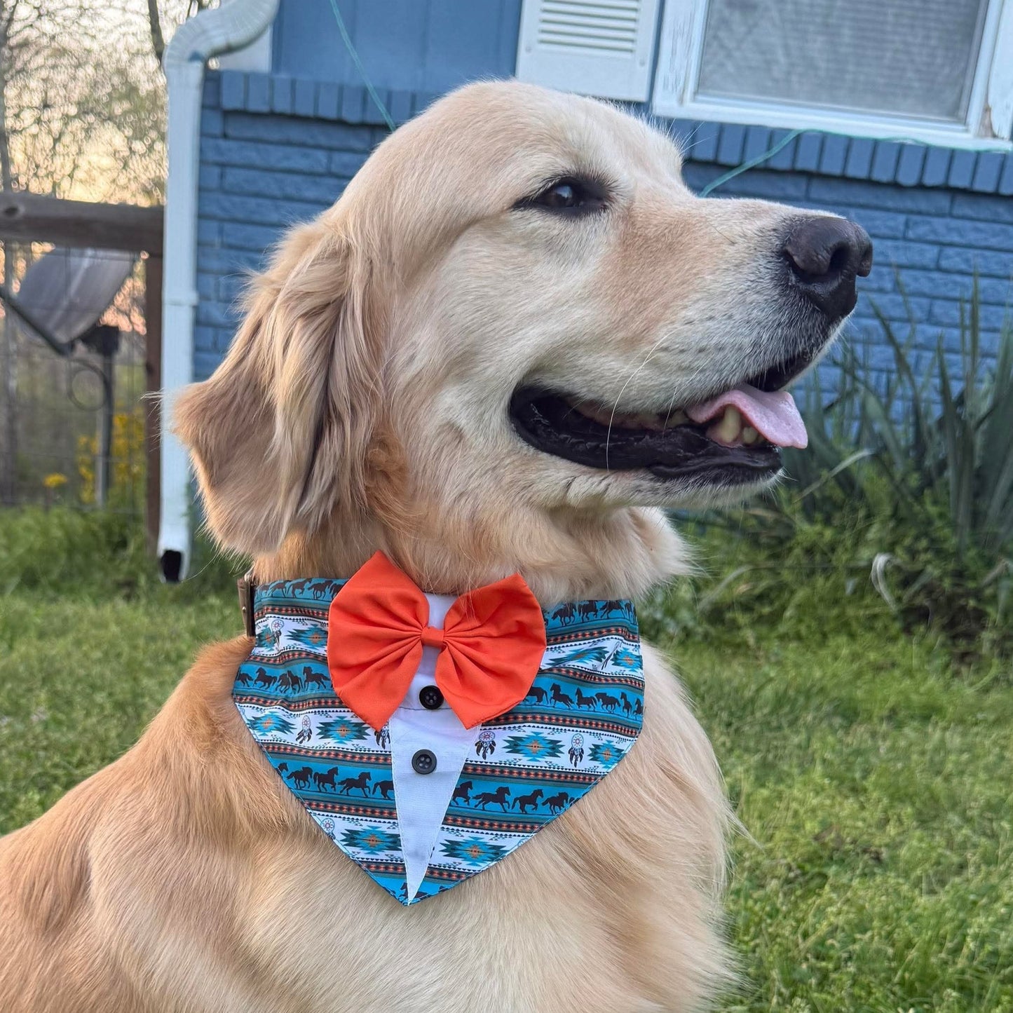 SOUTHWEST SHIRT OTC BANDANA - 4 PACK