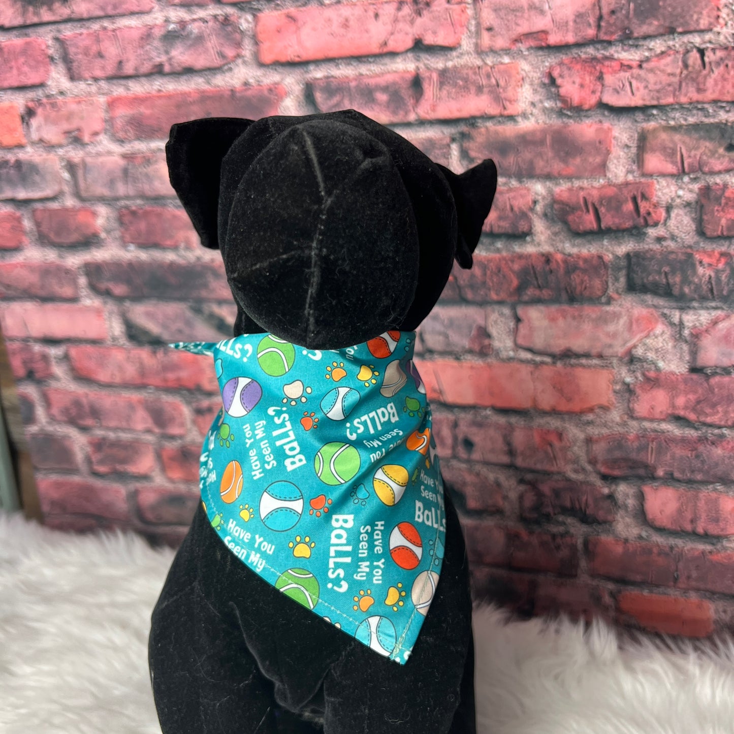 SEEN MY BALLS? BANDANA 10 PACK SMALL