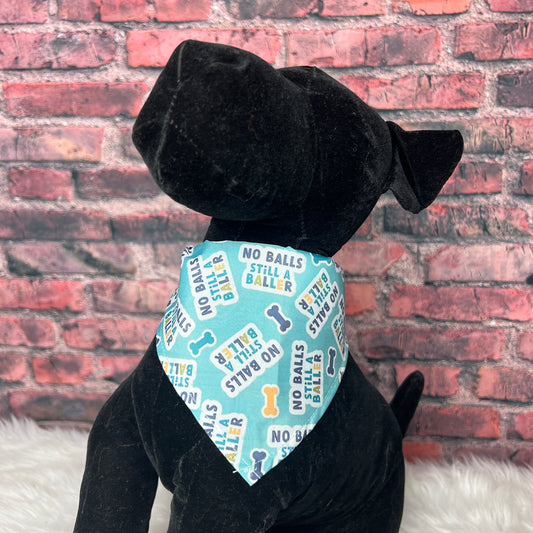 NO BALLS, STILL A BALLER BANDANA 10 PACK SMALL
