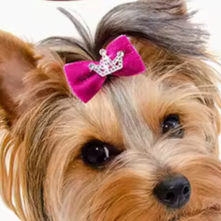 VELVET CROWN CLIPS 10 PK