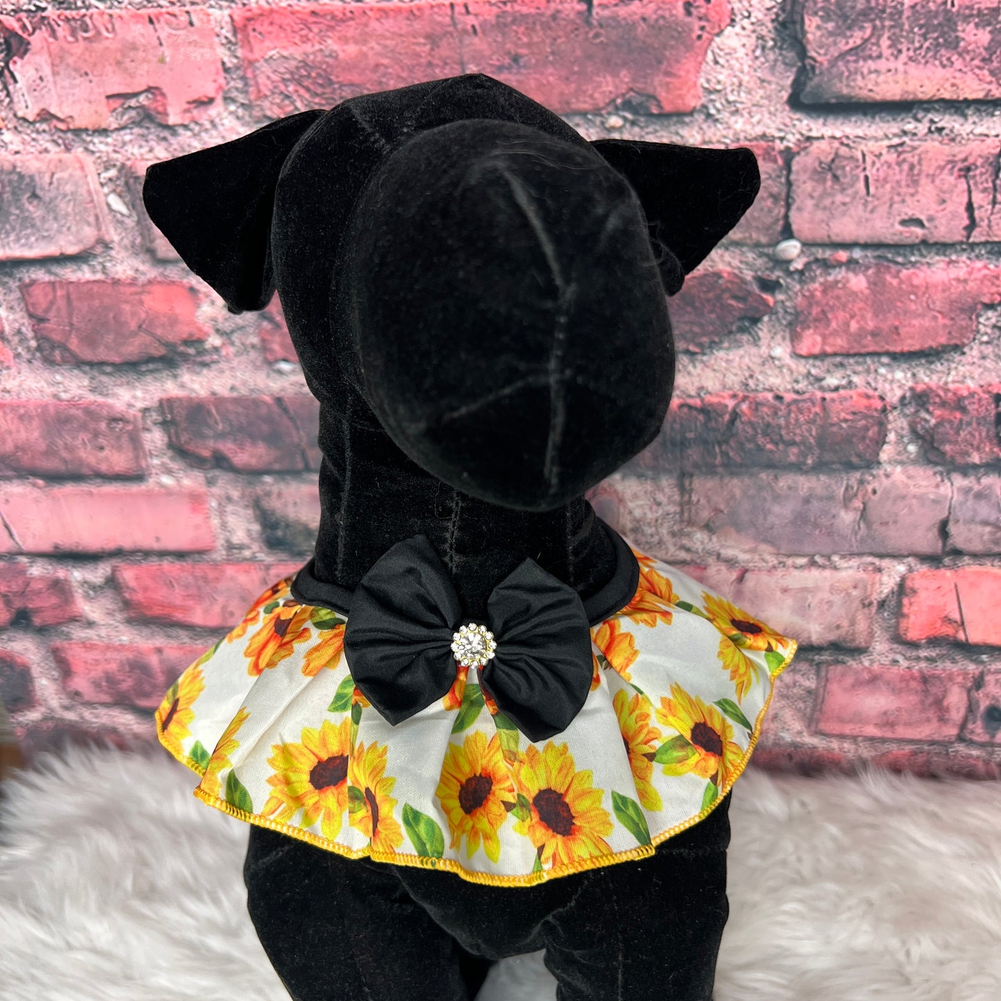 NEW SUNFLOWER RUFFLE-4PK