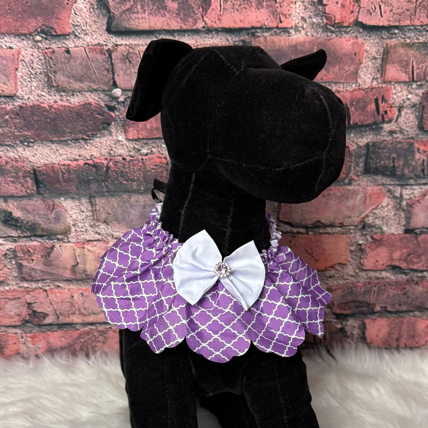 PURPLE LATTUS-SMALL RUFFLE-5 PACK