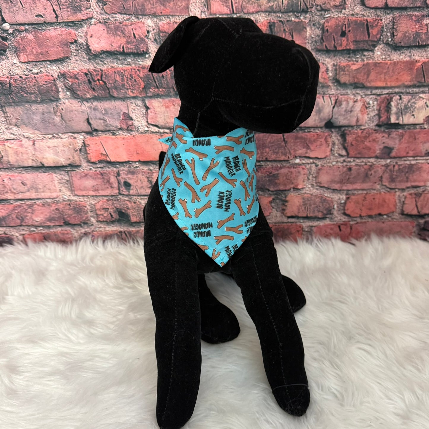 BRANCH MANAGER BANDANA-10 PACK SMALL