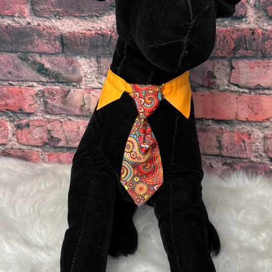 ORANGE PAISLEY SHIRT COLLAR & TIE S/M - 4 PACK