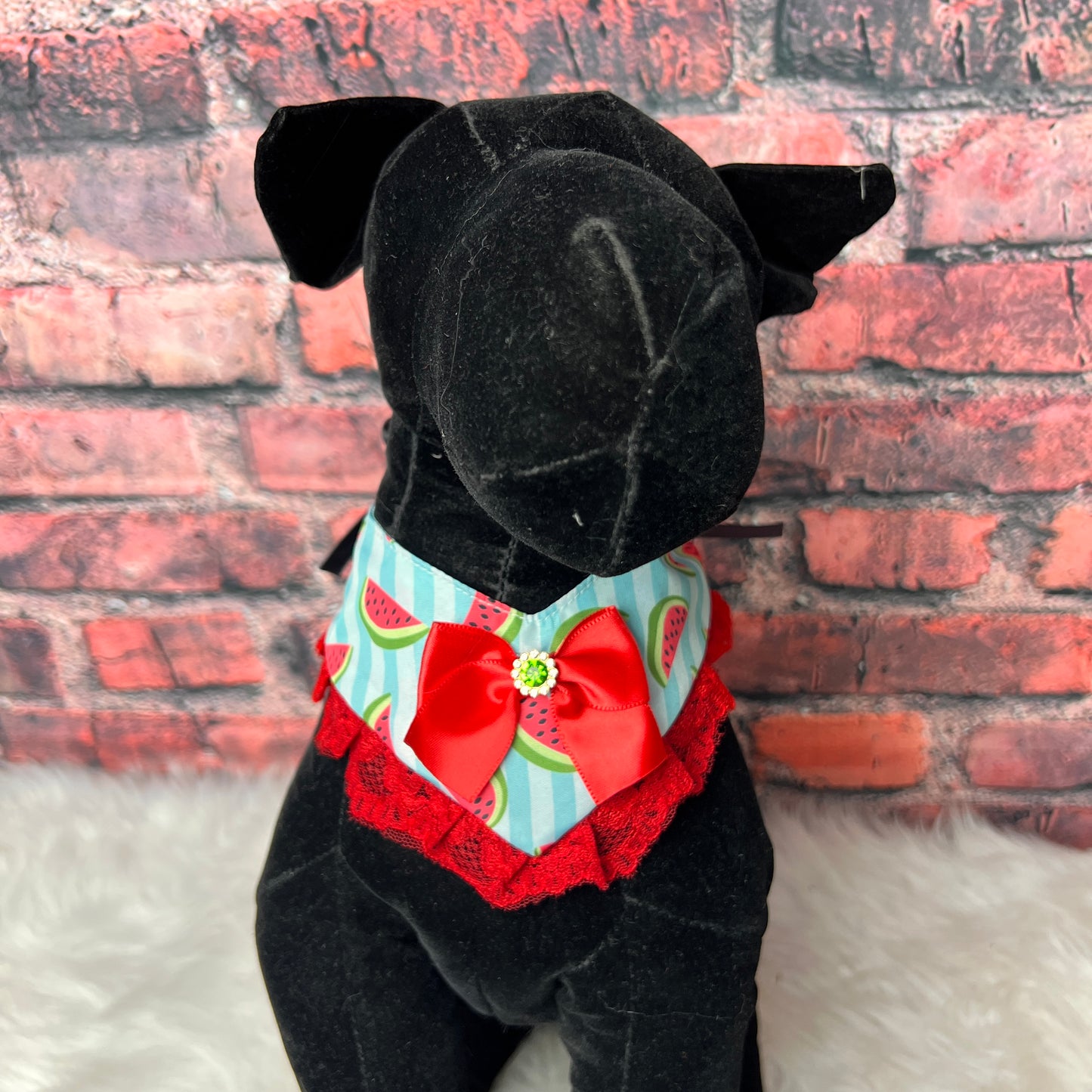 NEW WATERMELLON V-NECK 4-PACK