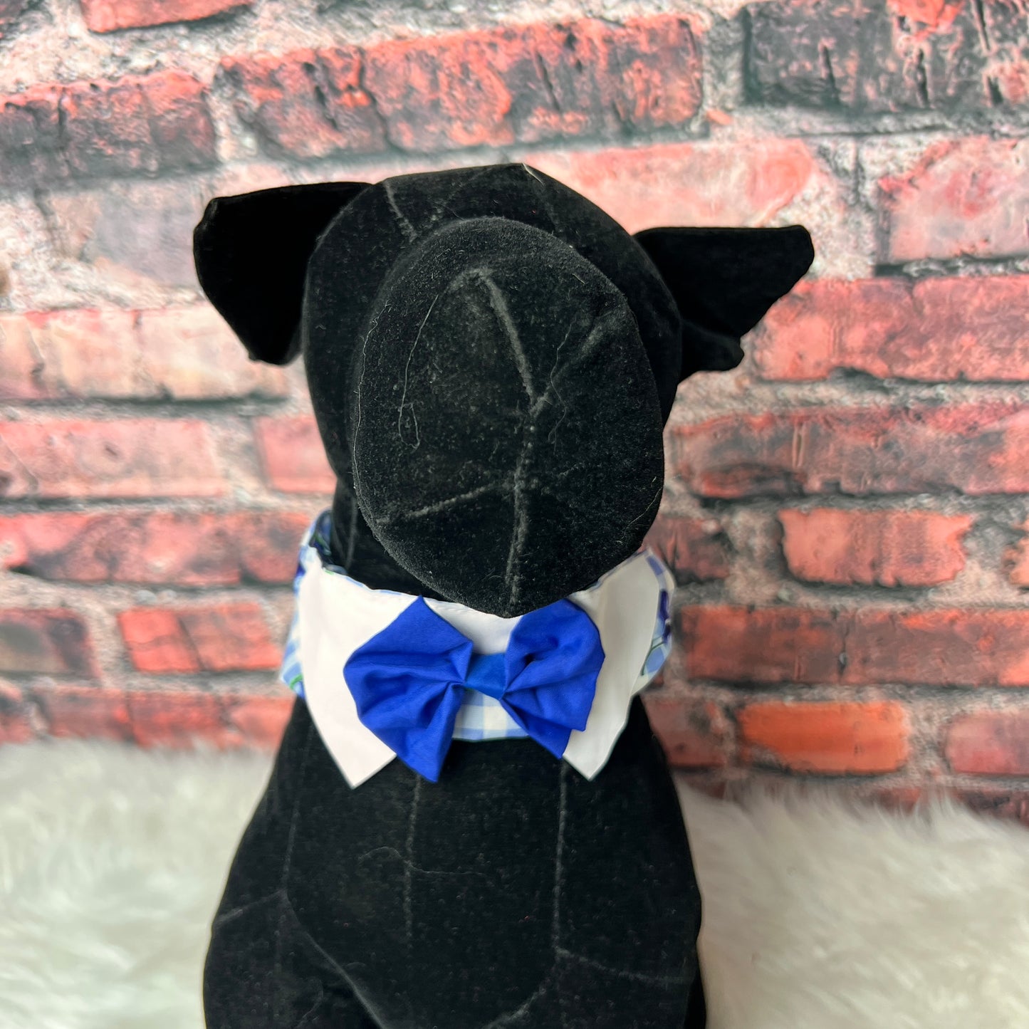 NEW BLUEBERRY COLLAR COVER -4 PACK