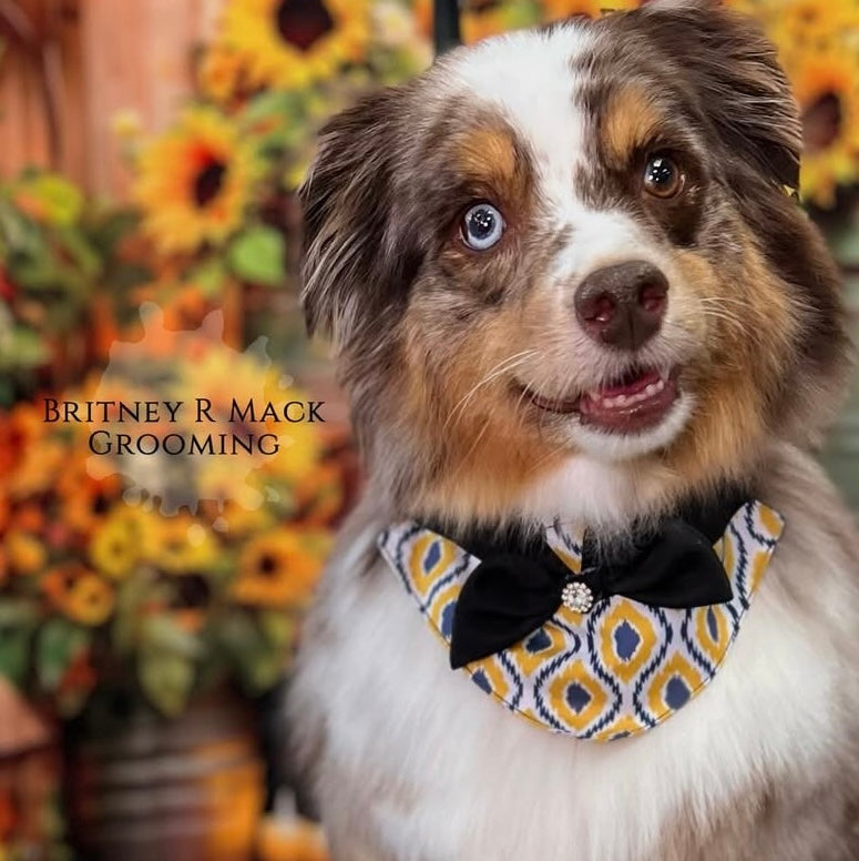 GOLD AND GREY BIG GIRL BIB- 4 PACK