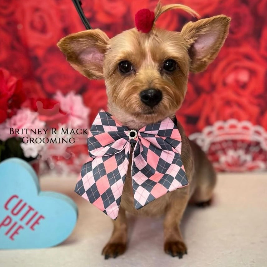 Pink and grey ARGYLE bow tie with tails(6 INCH) 6 pack