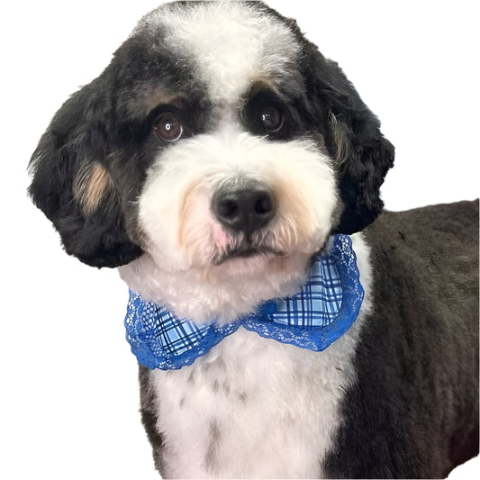 BLUE PLAID BLOUSE TOP 6 pack